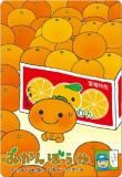 No.13 ߤܤۥ󥨥å˥С ɥϡ
