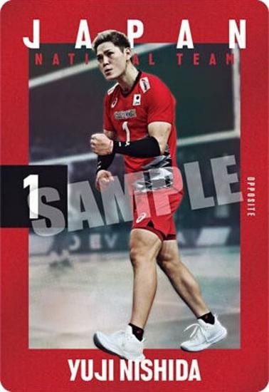 2-01 ͭ (Ρޥ륫) JAPAN NATIONAL VOLLEYBALL TEAM ĥ󥦥ϡ 2025