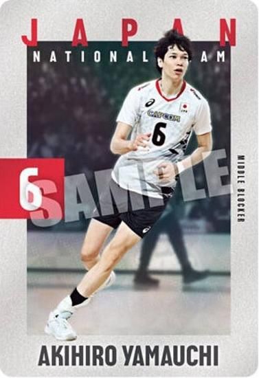 2-05 ⾽ (Ρޥ륫) JAPAN NATIONAL VOLLEYBALL TEAM ĥ󥦥ϡ 2025