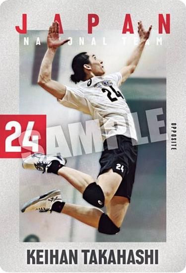 2-16 ⶶ (Ρޥ륫) JAPAN NATIONAL VOLLEYBALL TEAM ĥ󥦥ϡ 2025