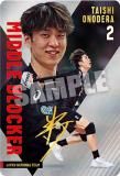 [󥵥] 2-18  (쥢) JAPAN NATIONAL VOLLEYBALL TEAM ĥ󥦥ϡ 2025