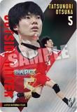 [󥵥] 2-20 ã (쥢) JAPAN NATIONAL VOLLEYBALL TEAM ĥ󥦥ϡ 2025