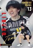 [󥵥] 2-27  (쥢) JAPAN NATIONAL VOLLEYBALL TEAM ĥ󥦥ϡ 2025