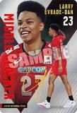 [󥵥] 2-31 Хǥ󡦥꡼ (쥢) JAPAN NATIONAL VOLLEYBALL TEAM ĥ󥦥ϡ 2025