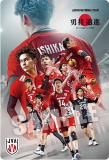 2-33 ͦ (ڥ륫) JAPAN NATIONAL VOLLEYBALL TEAM ĥ󥦥ϡ 2025