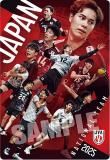 2-34  (ڥ륫) JAPAN NATIONAL VOLLEYBALL TEAM ĥ󥦥ϡ 2025