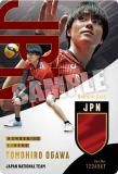[] 2-36  (ڥ륫) JAPAN NATIONAL VOLLEYBALL TEAM ĥ󥦥ϡ 2025