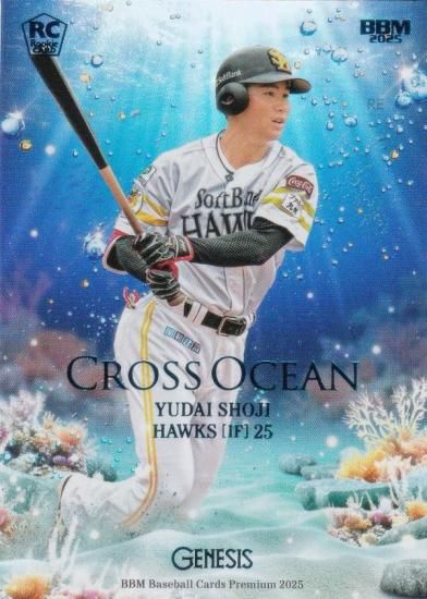 19/50BBM ١ܡ륫 CO07 ͺ ʡեȥХ󥯥ۡ (ϥ졼ɥ󥵡ȥ/CROSS OCEAN)
