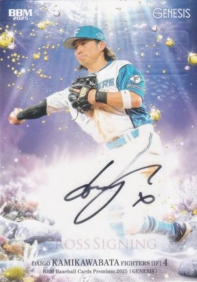 BBMカード '08 福岡ソフトバンク BBMカード '08 福岡ソフトバンク 25 【甲藤啓介】BBM 福岡