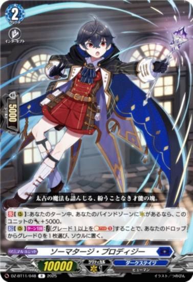 󥬡 DZ-BT11/048 ޥץǥ (R 쥢) ֡ѥå 