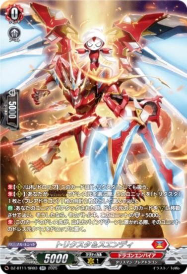 󥬡 DZ-BT11/SR03 ȥꥯǥ (SR С쥢) ֡ѥå 