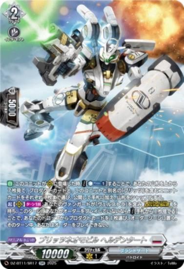 󥬡 DZ-BT11/SR17 ֥åĥͥӥ إǥ󥿡 (SR С쥢) ֡ѥå 