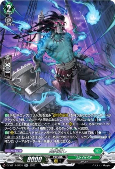 󥬡 DZ-BT11/SR31 ٤ (SR С쥢) ֡ѥå 