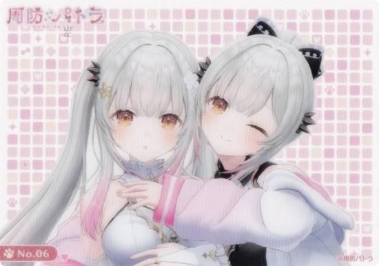 No.06 ɥѥȥ顧л NEWѥȥ ver.(ѡ) ֥ ȥ졼ǥ󥰥 쥯󥯥ꥢ ɥѥȥ