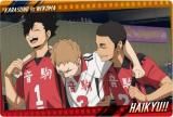 No.22 Ŵϯױ (̥̾) ۥϥ塼!! ϡ6