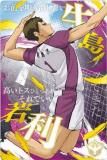 [⿧󲡤] No.31  (ڥ쥢/Ҥعӥ奢) ۥϥ塼!! ϡ6