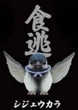 ڥ奦۶
