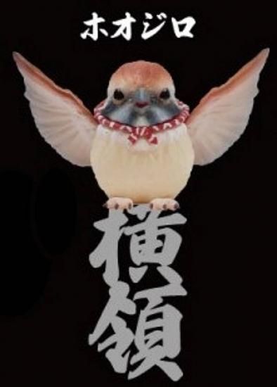 ڥۥ۶
