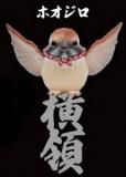 ڥۥ۶