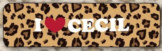 ڥҥ祦CECIL McBEE إХ