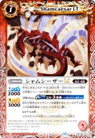 Хȥ륹ԥå BSC49-001 ॷLT (C ) ɥ꡼֡ 