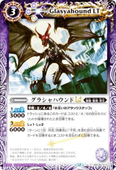 Хȥ륹ԥå BSC49-013 饷ϥLT (C ) ɥ꡼֡ 
