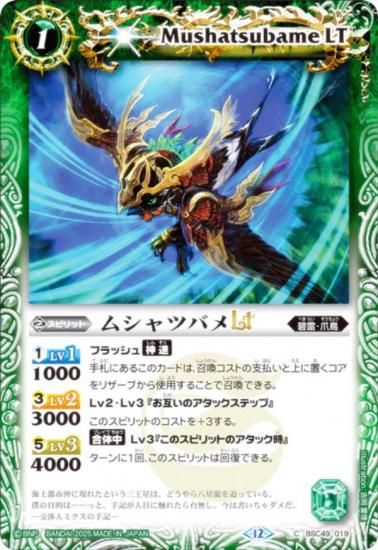 Хȥ륹ԥå BSC49-019 ॷĥХLT (C ) ɥ꡼֡ 