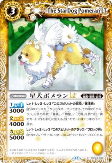 Хȥ륹ԥå BSC49-036 ݥLT (C ) ɥ꡼֡ 