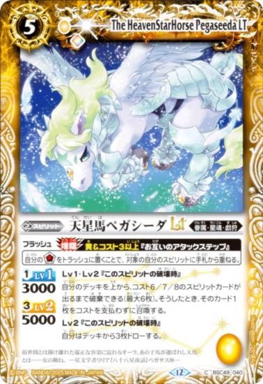 Хȥ륹ԥå BSC49-040 ŷϥڥLT (C ) ɥ꡼֡ 