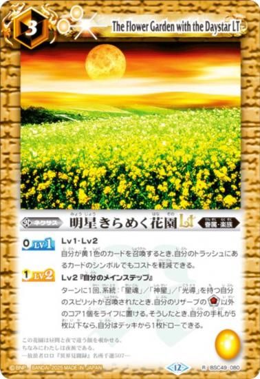 Хȥ륹ԥå BSC49-080 ᤯ֱLT (R 쥢) ɥ꡼֡ 