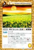 Хȥ륹ԥå BSC49-080 ᤯ֱLT (R 쥢) ɥ꡼֡ 