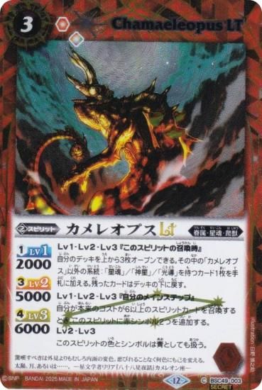 SECRETۥХȥ륹ԥå BSC49-003 쥪ץLT (C ) ɥ꡼֡ 