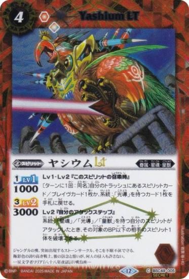 SECRETۥХȥ륹ԥå BSC49-005 䥷LT (C ) ɥ꡼֡ 