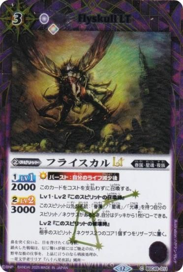 SECRETۥХȥ륹ԥå BSC49-011 ե饤LT (C ) ɥ꡼֡ 