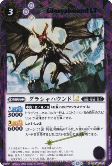 SECRETۥХȥ륹ԥå BSC49-013 饷ϥLT (C ) ɥ꡼֡ 