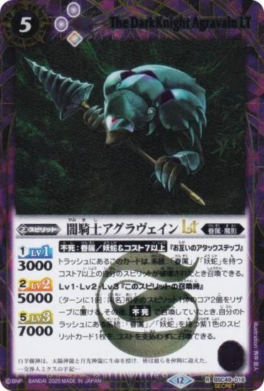 SECRETۥХȥ륹ԥå BSC49-016 ǵΥLT (R 쥢) ɥ꡼֡ 