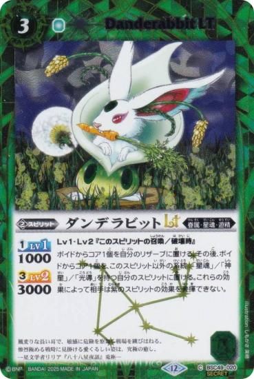 SECRETۥХȥ륹ԥå BSC49-020 ǥӥåLT (C ) ɥ꡼֡ 