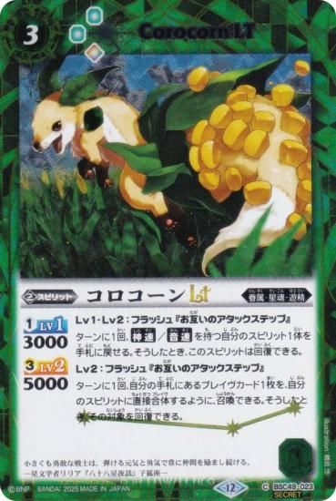 SECRETۥХȥ륹ԥå BSC49-023 LT (C ) ɥ꡼֡ 