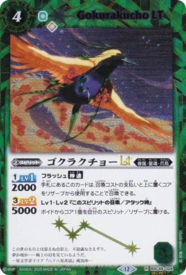 SECRETۥХȥ륹ԥå BSC49-024 饯硼LT (R 쥢) ɥ꡼֡ 