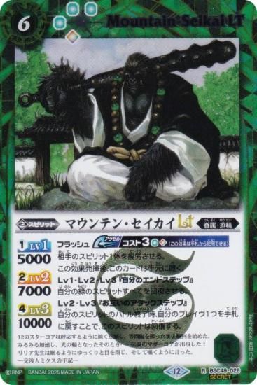 SECRETۥХȥ륹ԥå BSC49-026 ޥƥ󡦥LT (R 쥢) ɥ꡼֡ 