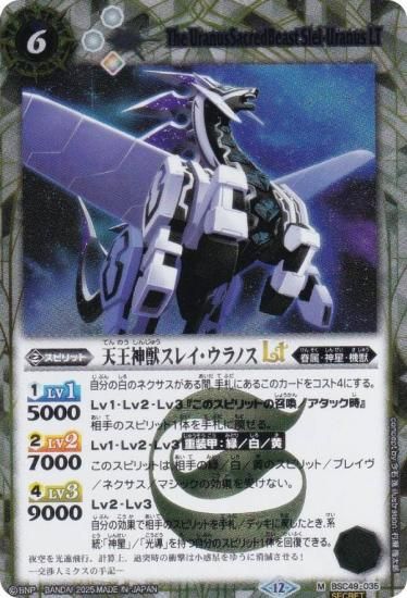 SECRETۥХȥ륹ԥå BSC49-035 ŷå쥤ΥLT (M ޥ쥢) ɥ꡼֡ 