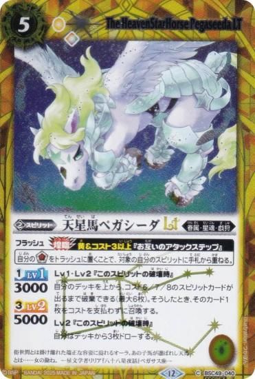 SECRETۥХȥ륹ԥå BSC49-040 ŷϥڥLT (C ) ɥ꡼֡ 