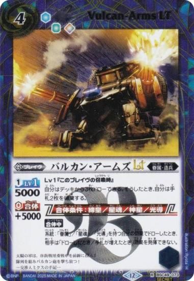 SECRETۥХȥ륹ԥå BSC49-073 Х륫󡦥ॺLT (R 쥢) ɥ꡼֡ 