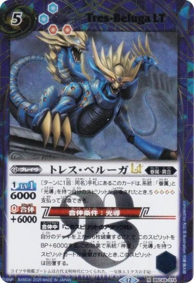 SECRETۥХȥ륹ԥå BSC49-074 ȥ쥹٥롼LT (R 쥢) ɥ꡼֡ 