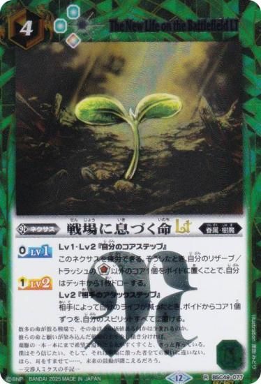 SECRETۥХȥ륹ԥå BSC49-077 ©Ť̿LT (R 쥢) ɥ꡼֡ 