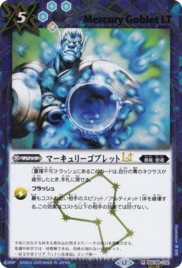 SECRETۥХȥ륹ԥå BSC49-102 ޡ꡼֥åLT (R 쥢) ɥ꡼֡ 