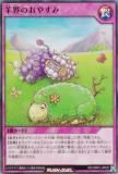 ͷ åǥ奨 RD/ORP3-JP029 ӳΤ䤹 (ܸ ѡ쥢) Сåѥå3
