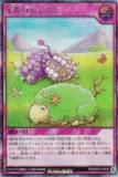 ͷ åǥ奨 RD/ORP3-JP029 ӳΤ䤹 (ܸ åȥ쥢) Сåѥå3