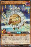 ͷ åǥ奨 RD/ORP3-JP048 Υ󥫥ߡ (ܸ åȥ쥢) Сåѥå3