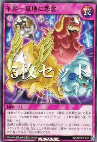 3祻åȡͷ åǥ奨 RD/ORP3-JP031 ӳϤ˱ǰ (ܸ Ρޥ) Сåѥå3
